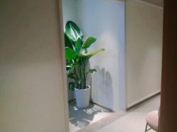 -苑苑vbeauty科技美容SPA