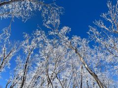 -中旅松花湖滑雪场