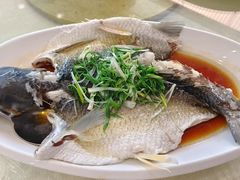 -大湾区鑫南酒家·粤菜(黄岐店)