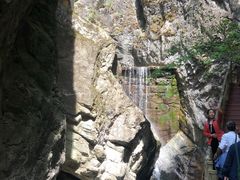 -牛背梁国家森林公园