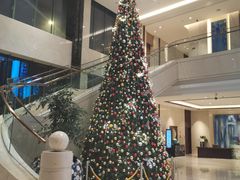 -青岛颐海花园酒店总店·自助餐厅
