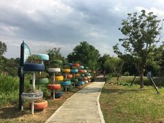 -中国扬子鳄村