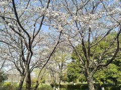 -玄武湖景区-情侣园游乐场