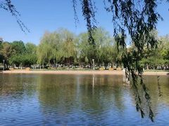 -泰丰公园