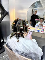 -Tloml salon