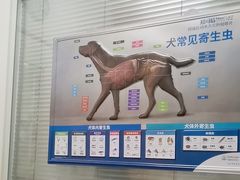 -宠福鑫康馨动物医院·骨科·眼科