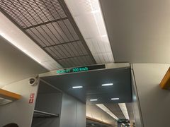 -龙阳路磁悬浮列车总站-停车场