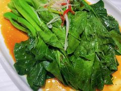 白灼菜心-渔民船说·北塘海鲜·天津菜·海肠捞饭(北塘古镇店)