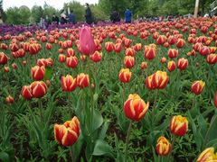 -长春公园(普阳街道)