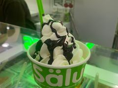 -Salud撒露欧洲冻酸奶(五道口购物中心店)