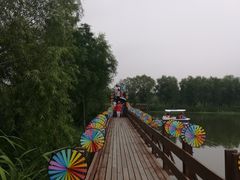 -长兴太湖图影湿地文化园