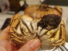 -新发展亚太JW万豪酒店·福苑咖啡厅