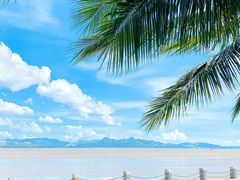 -深圳湾公园(南山区)