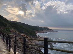 -广东惠东海龟国家级自然保护区