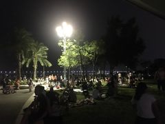 -宝安西湾红树林湿地公园