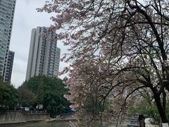 -红星桥(地铁站)