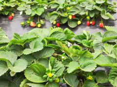 -厦门国家会计学院