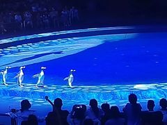 -珠海横琴长隆《卡卡虎奇遇记》