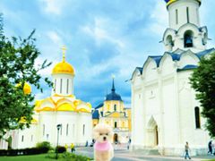 -谢尔盖圣三一大修道院