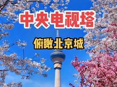 -中央广播电视塔