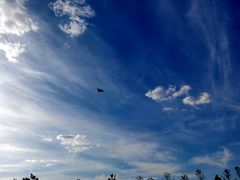 -武清南湖绿博园