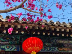 -潭柘寺景区