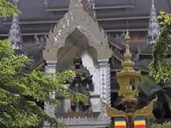 -西双版纳总佛寺