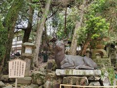-奈良公园