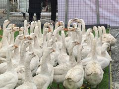 -辛庄国际文化艺术区