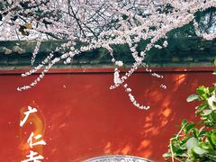 -西安市广仁寺