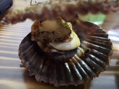 -海帮主·蒸汽海鲜青岛菜(栈桥火车站店)