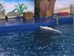 -石家庄市动物园