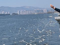 -海埂大坝