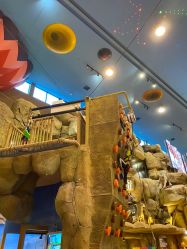 -卡通尼·Safari非洲探索乐园·生日会(金桥国际商业广场店)