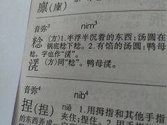 账单-南洋甜汤鸭母捻