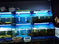 -星记小馆·小蓝龙·老南京砂锅菜(上海路店)