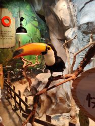 -Zoolung Zoolung动物主题公园(海信广场店)