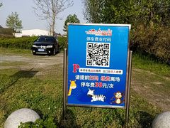 -野生动物园-停车场