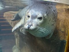 -海合安青岛极地海洋公园