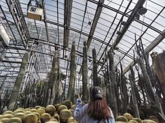 -南山植物园