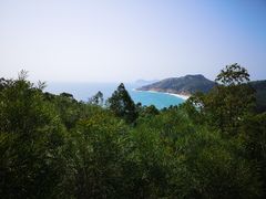 -广东惠东海龟国家级自然保护区