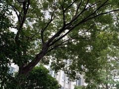 -浦发银行-信用卡中心