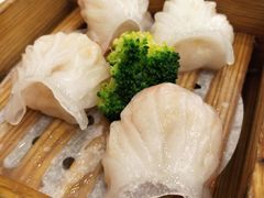 -龙的酒楼·手工早茶·顺德菜(近良路店)