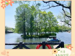 -上海共青森林公园