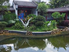 -大亚湾红树林城市湿地公园