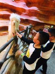 -酷嗒动物文化乐园(cutezoo西溪乐天城店)