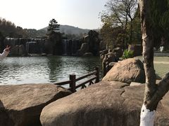-白马涧龙池景区