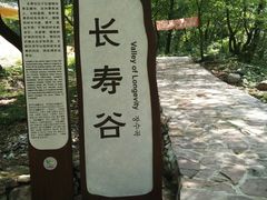 -红崖峡谷景区