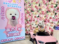 -百好乐宠物友好餐厅(朝外大街店)