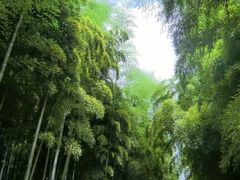 -井空里大峡谷